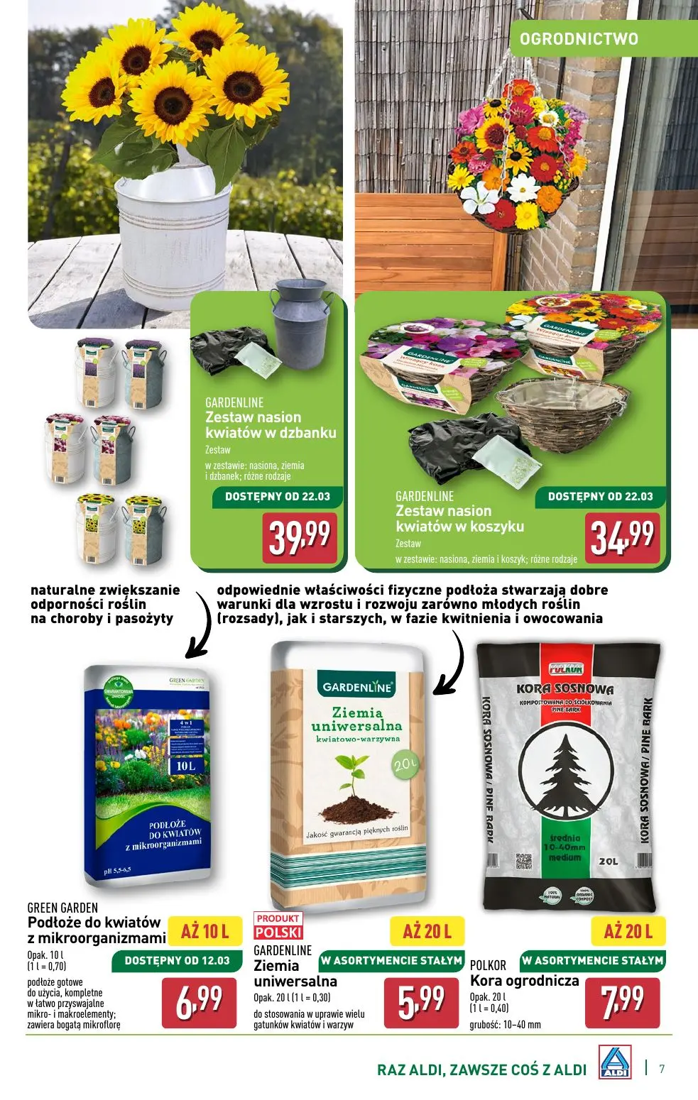 gazetka promocyjna ALDI  - Strona 7