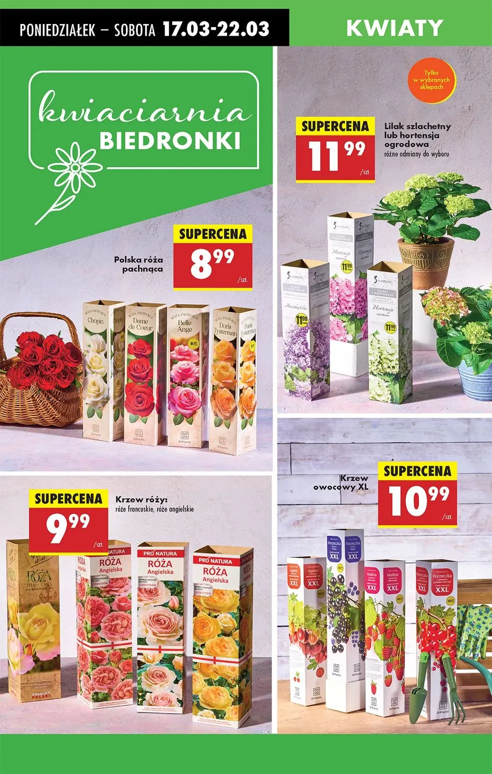 gazetka promocyjna Biedronka Lada tradycyjna. Od poniedziałku - Strona 63