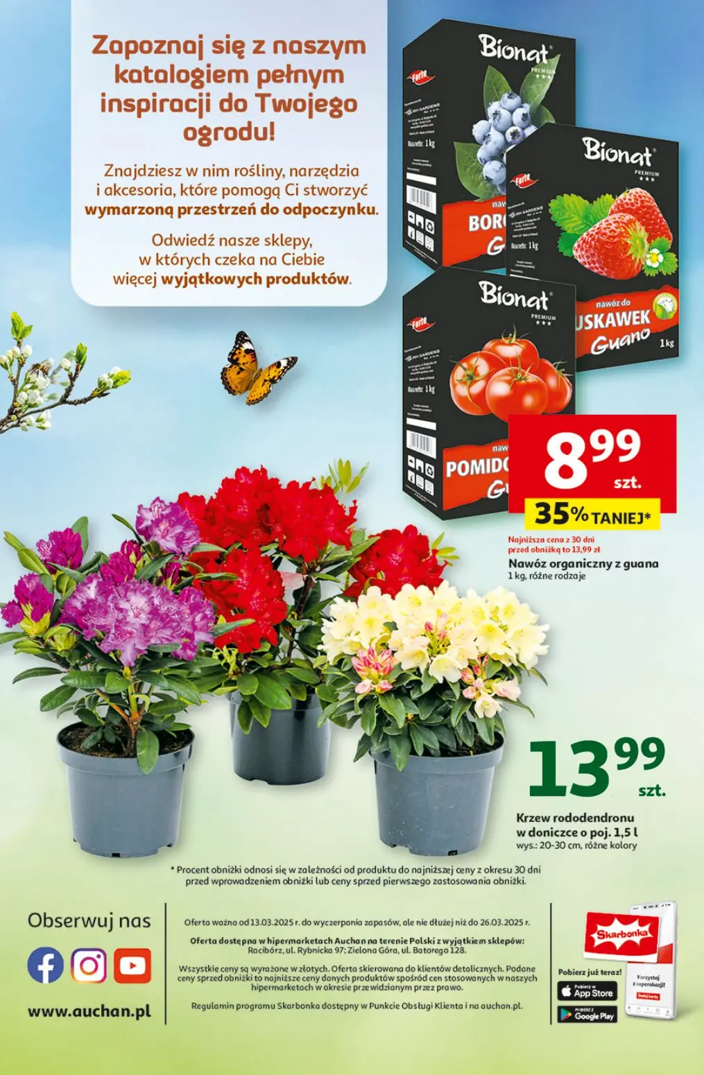 gazetka promocyjna Auchan Ogród pełen życia - Strona 12