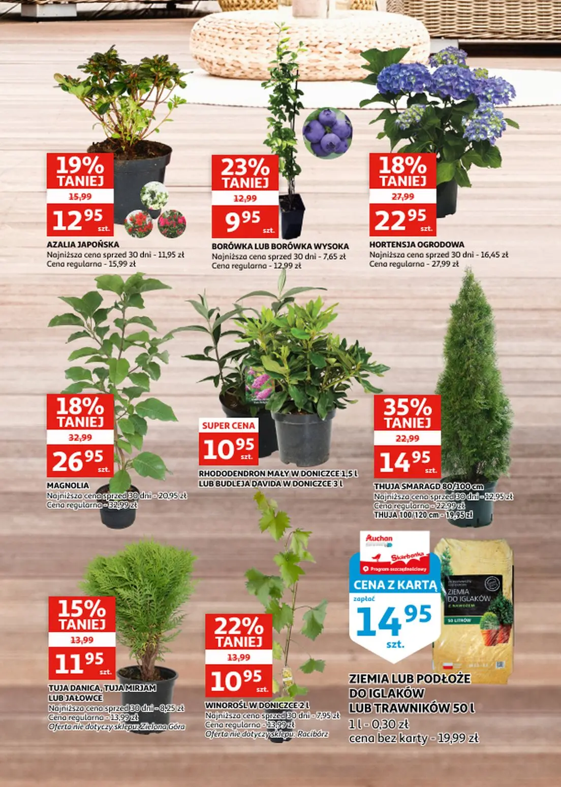 gazetka promocyjna Auchan Zielona Góra - katalog ogród i rower - Strona 9