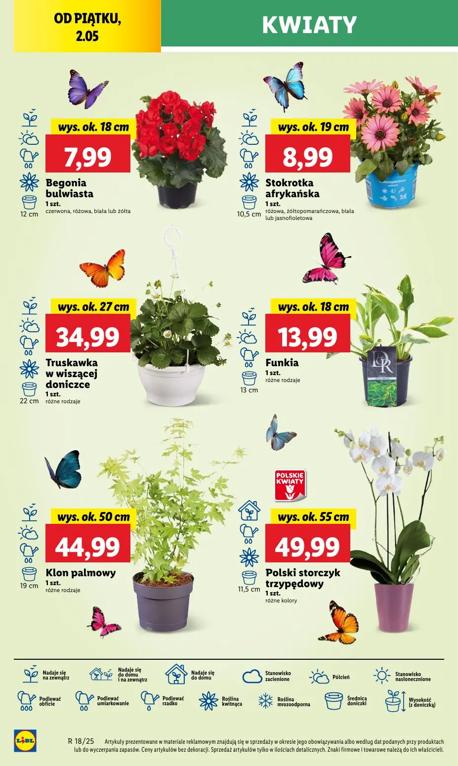 gazetka promocyjna LIDL Od środy - Strona 40