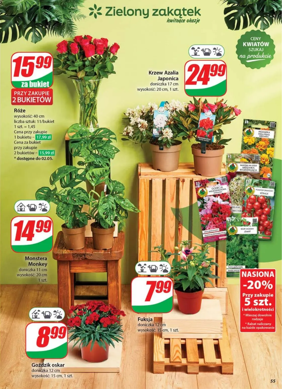 gazetka promocyjna dino Gazetka tygodnia - Strona 55