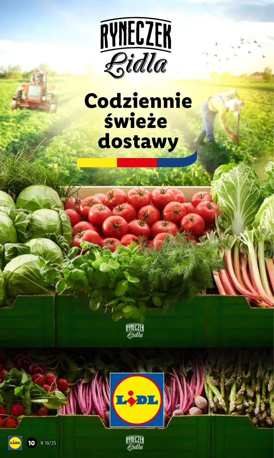 gazetka promocyjna LIDL Od poniedziałku - Strona 12