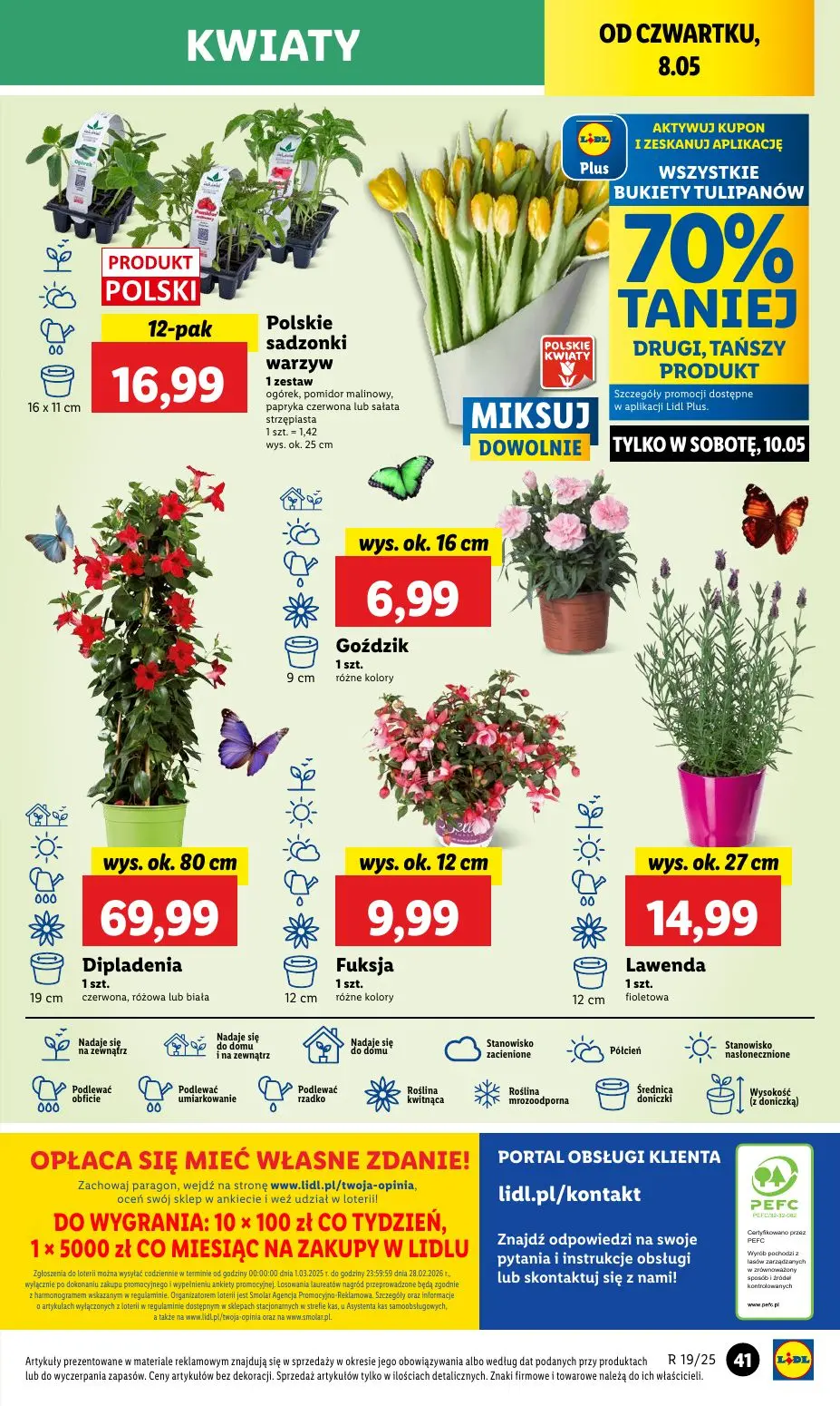 gazetka promocyjna LIDL Od czwartku - Strona 49