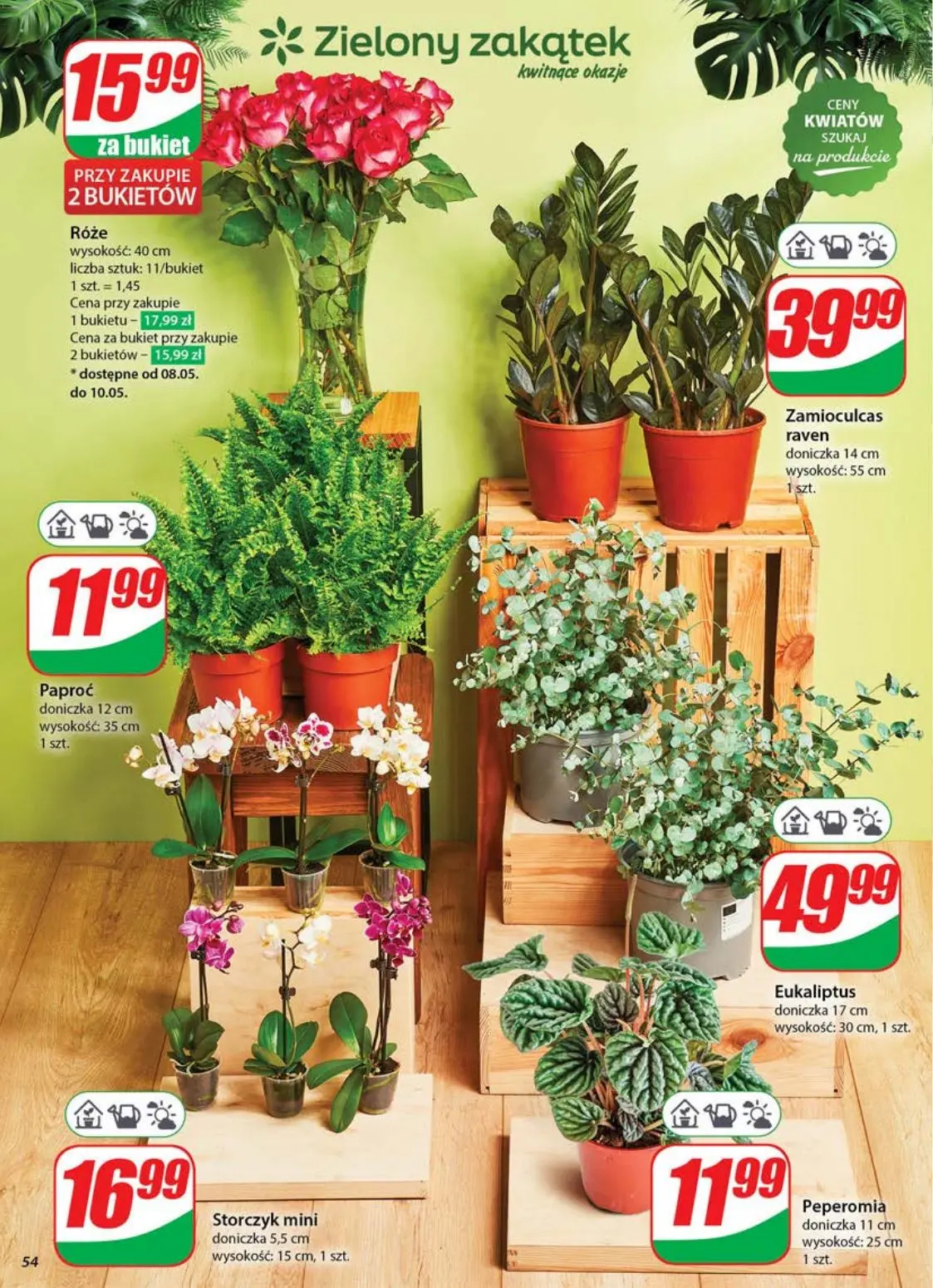 gazetka promocyjna dino  - Strona 54
