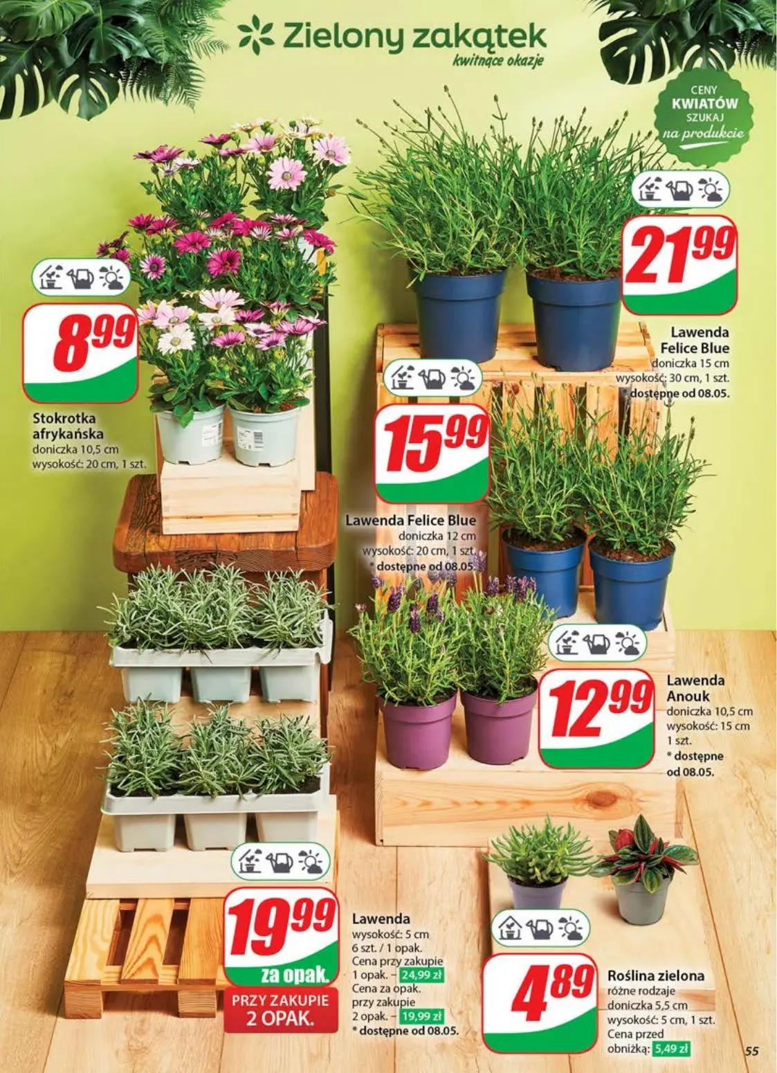 gazetka promocyjna dino  - Strona 55