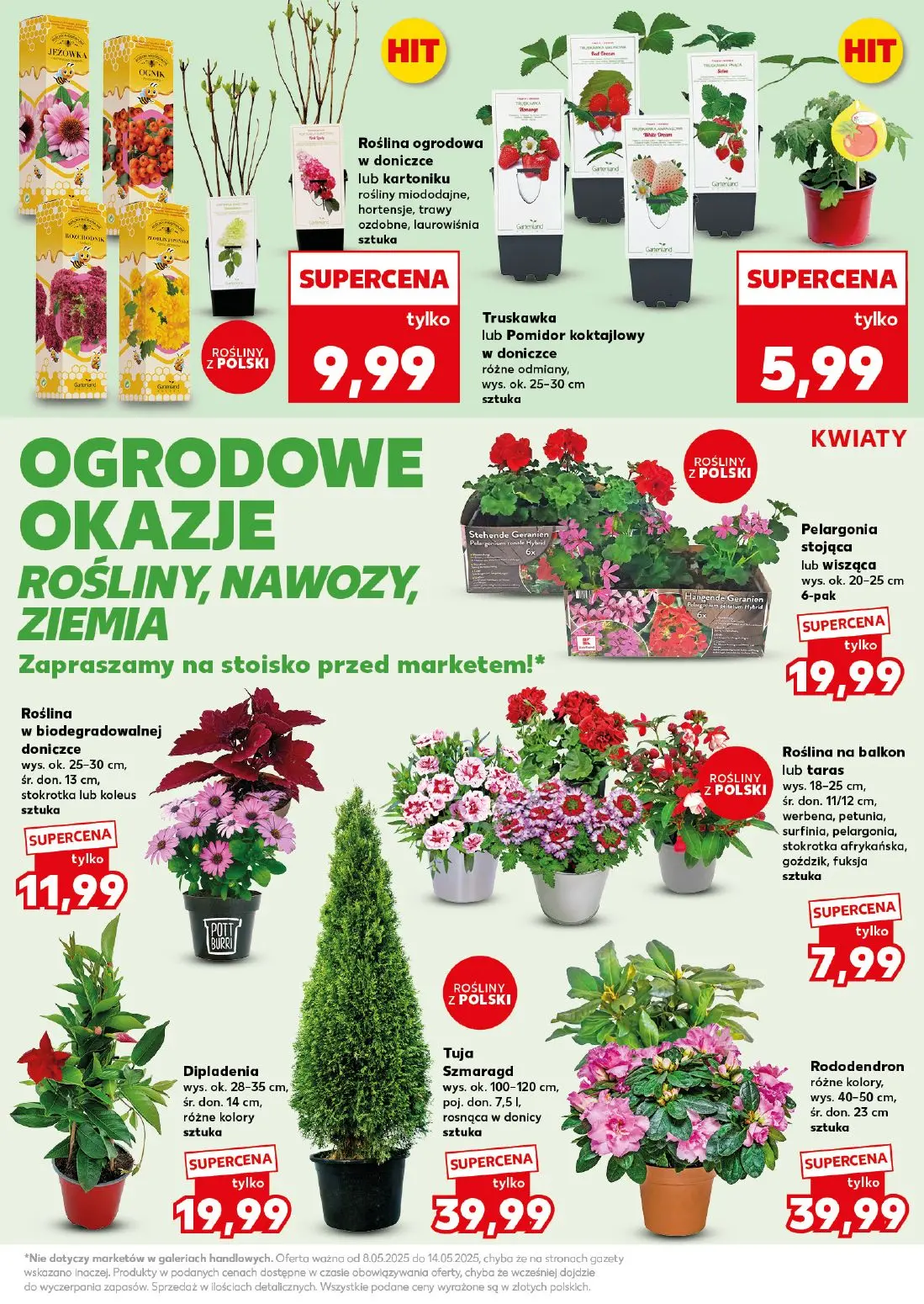 gazetka promocyjna Kaufland Mocny start - Strona 19