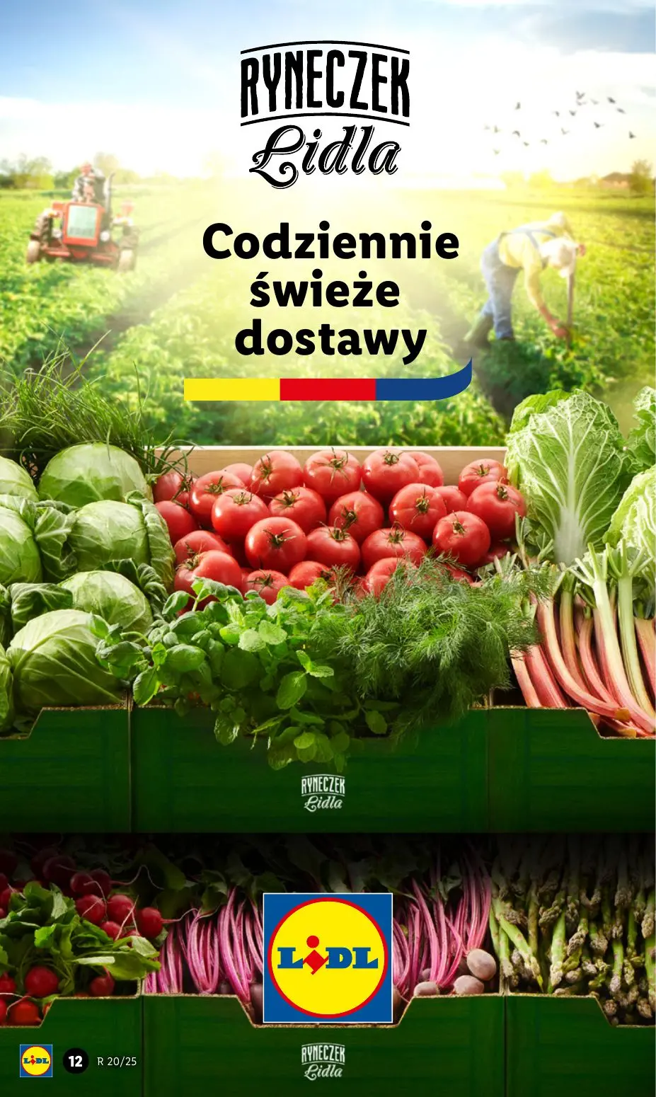 gazetka promocyjna LIDL Od poniedziałku - Strona 15