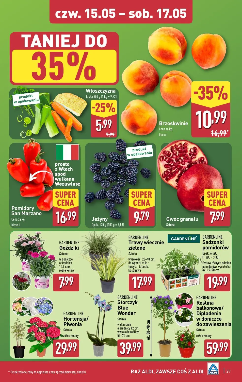 gazetka promocyjna ALDI - Strona 29