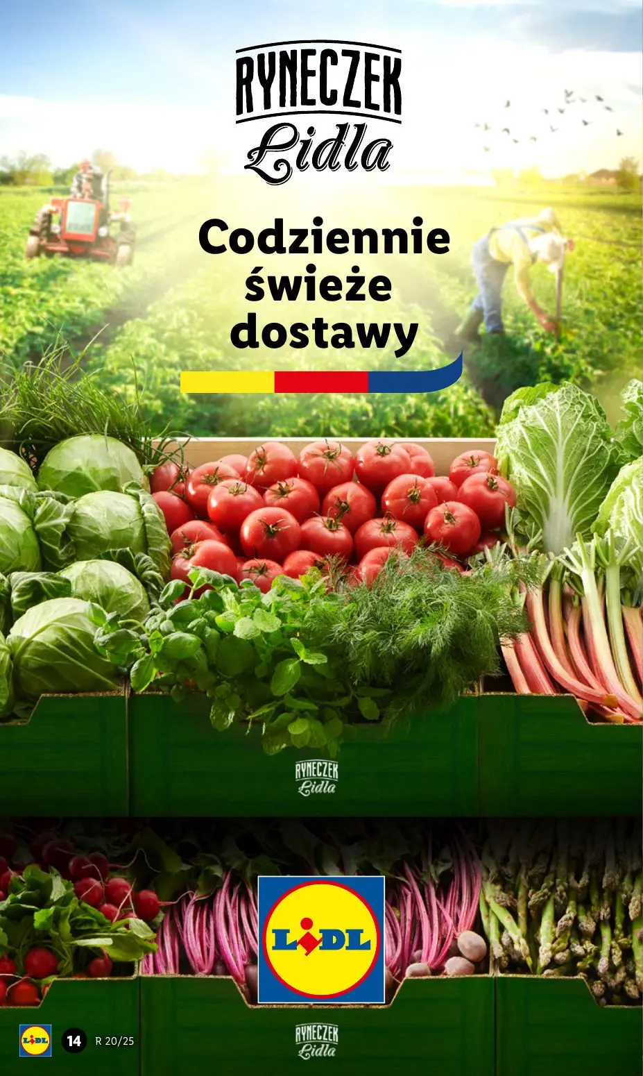 gazetka promocyjna LIDL Od czwartku - Strona 16