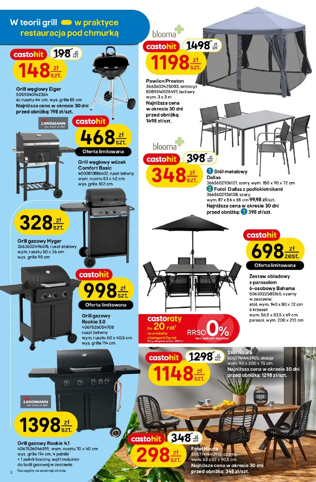 gazetka promocyjna castorama W teorii ogród w praktyce pasja - Strona 2