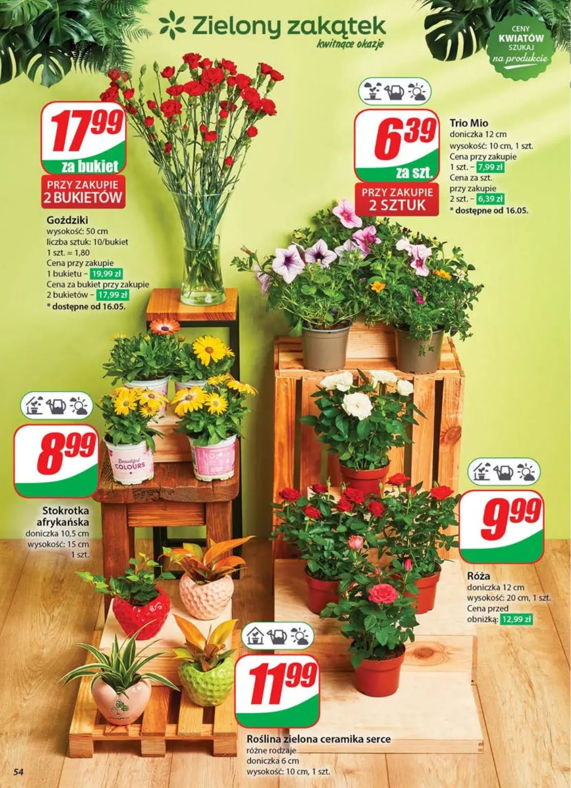 gazetka promocyjna dino Wkrótce Dzień Mamy - Strona 54