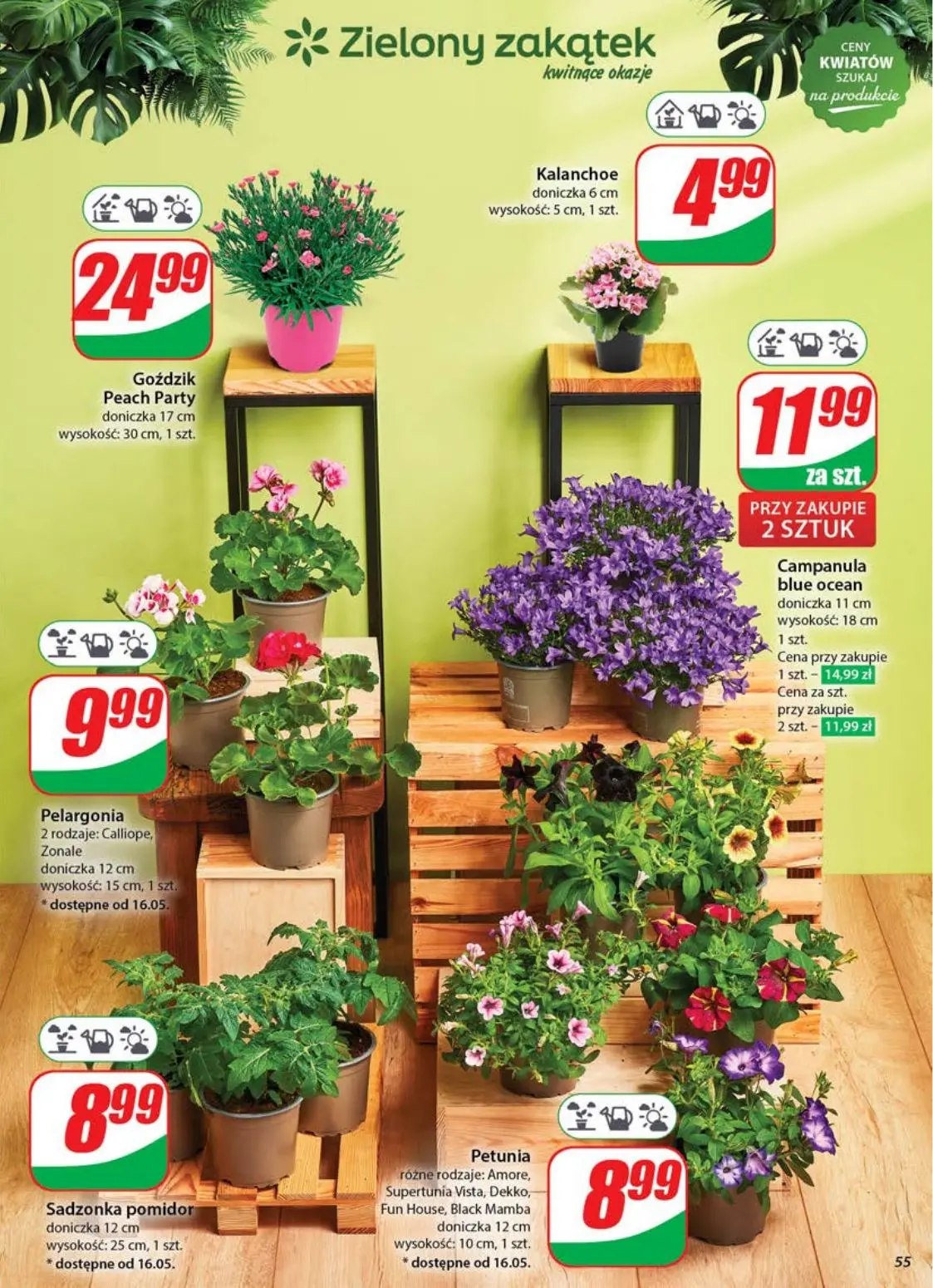 gazetka promocyjna dino Wkrótce Dzień Mamy - Strona 55