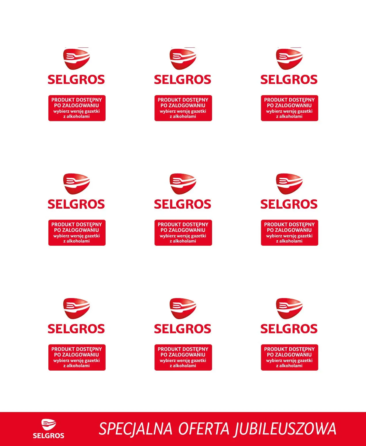 gazetka promocyjna SELGROS Specjalna Oferta Jubileuszowa - Strona 3
