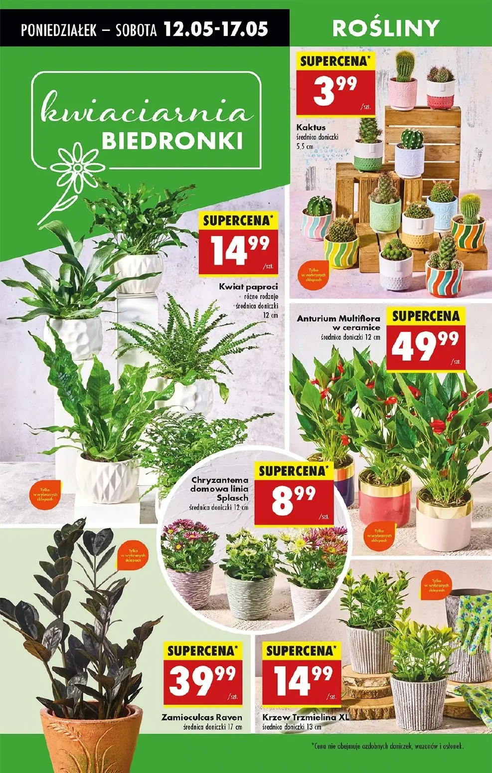 gazetka promocyjna Biedronka Od czwartku - Strona 17