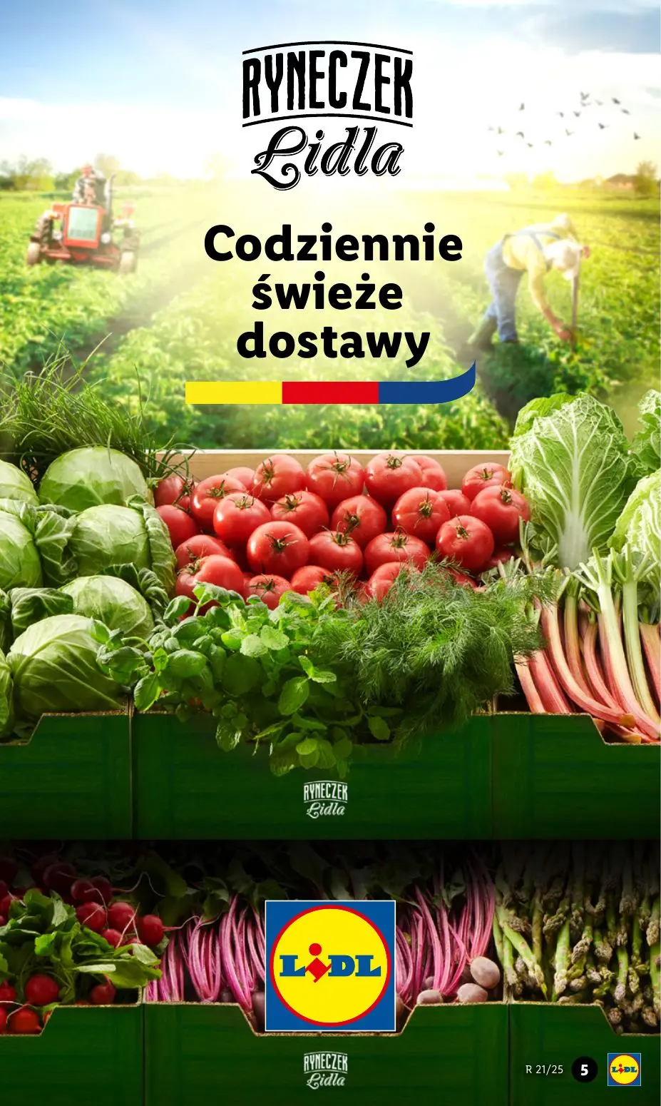 gazetka promocyjna LIDL Od poniedziałku - Strona 5