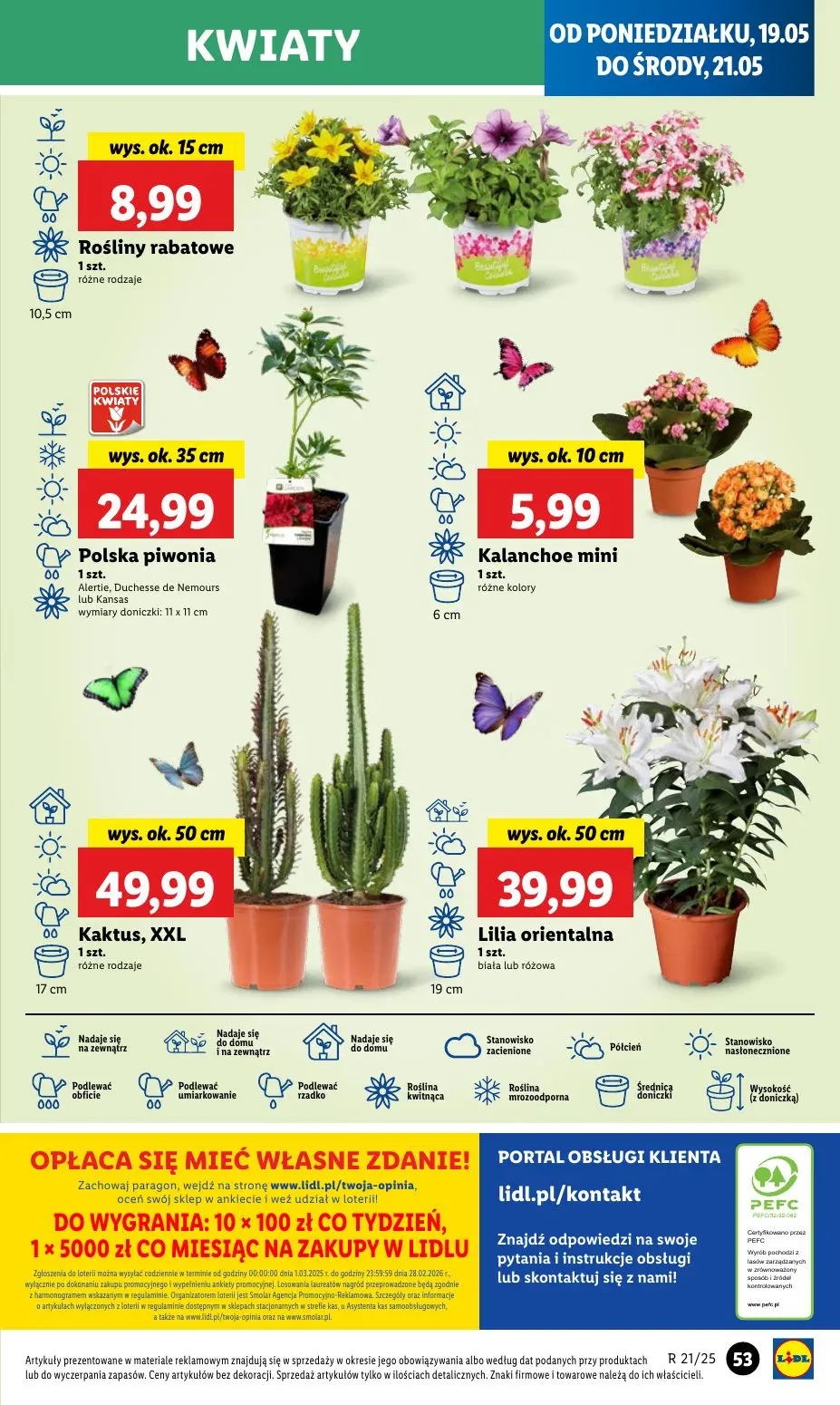 gazetka promocyjna LIDL Od poniedziałku - Strona 61