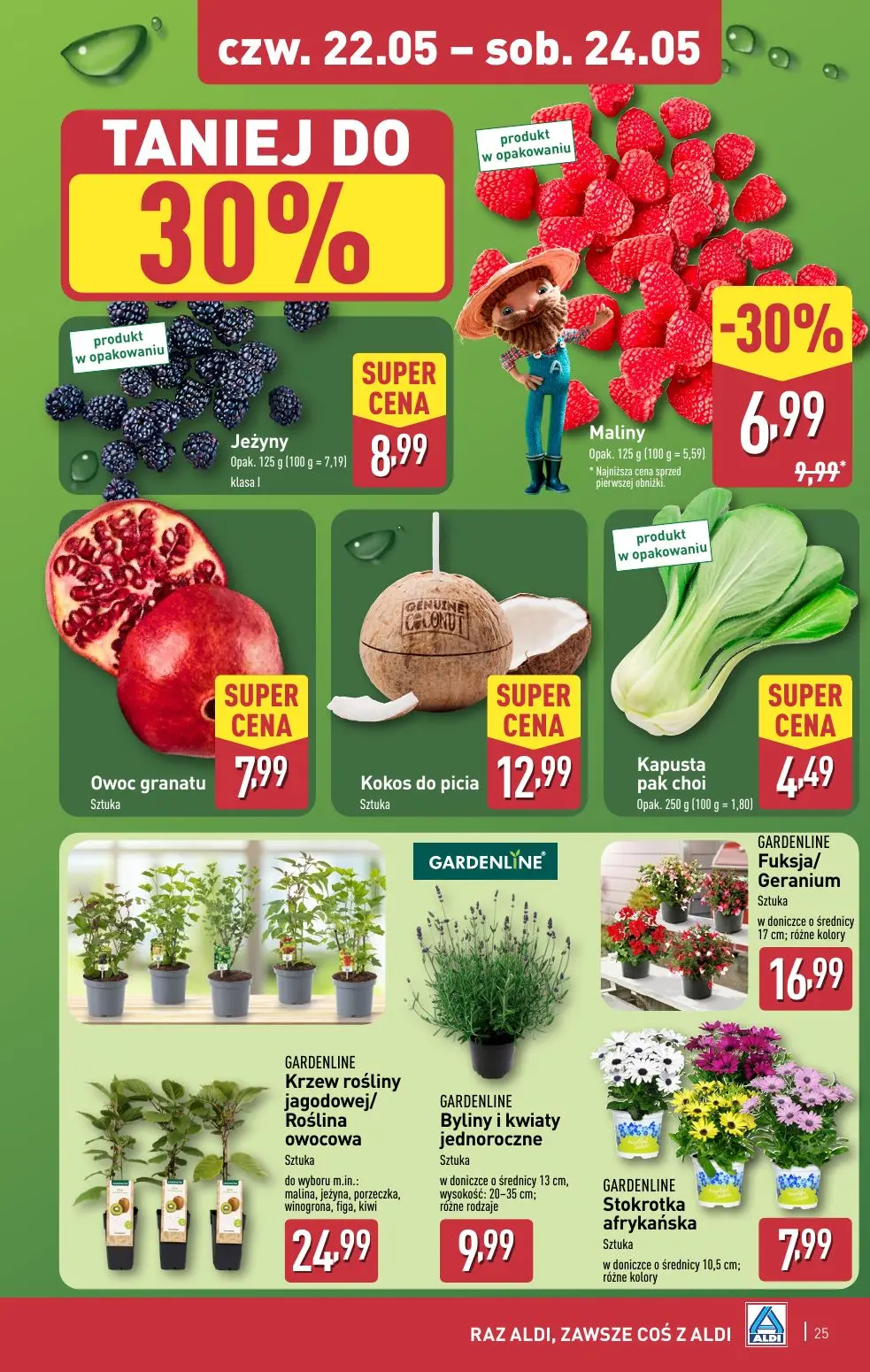 gazetka promocyjna ALDI Nowy tydzień, nowe super OKAZJE! - Strona 25