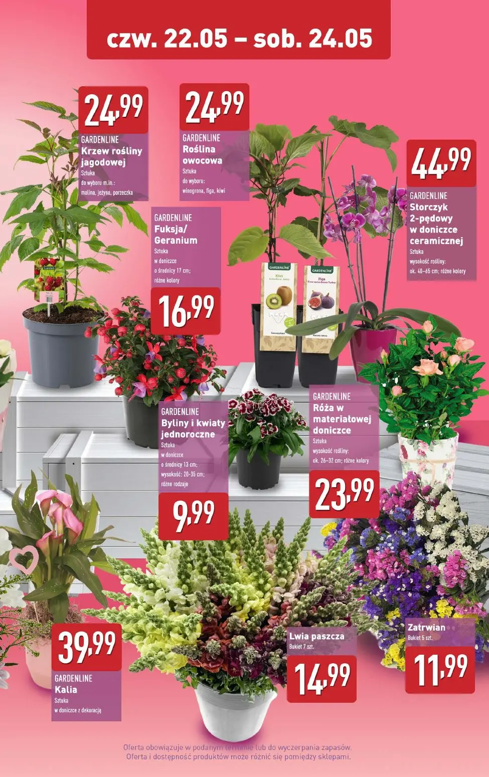 gazetka promocyjna ALDI Dzień Matki 💐 - Strona 2