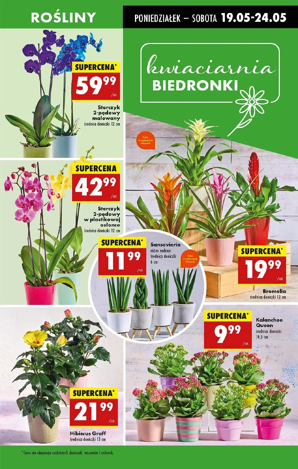 gazetka promocyjna Biedronka Lada tradycyjna. Od poniedziałku - Strona 19