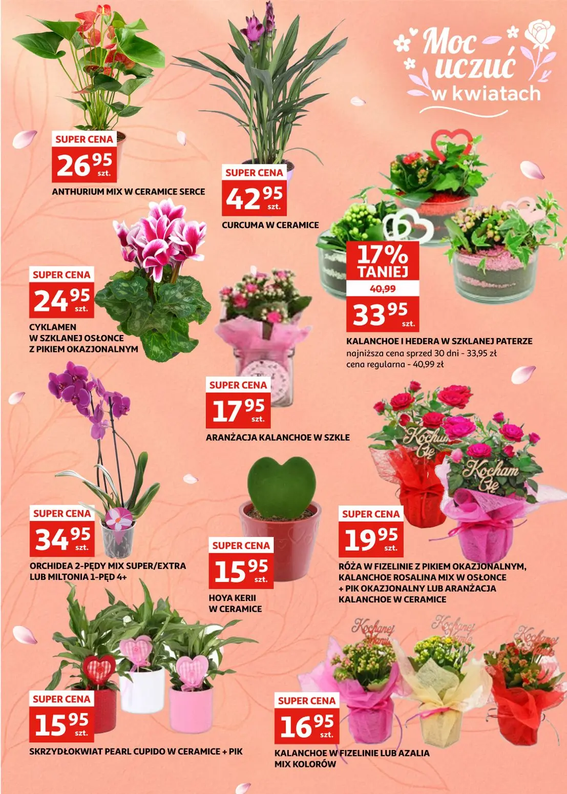 gazetka promocyjna Auchan Racibórz - Strona 7