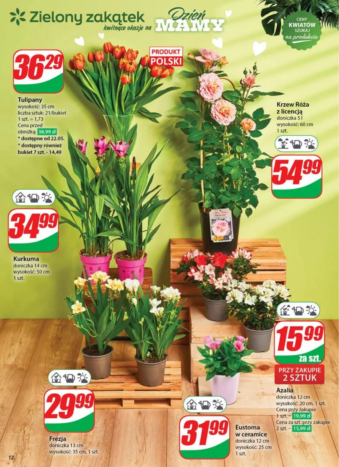 gazetka promocyjna dino Gazetka tygodnia - Strona 12