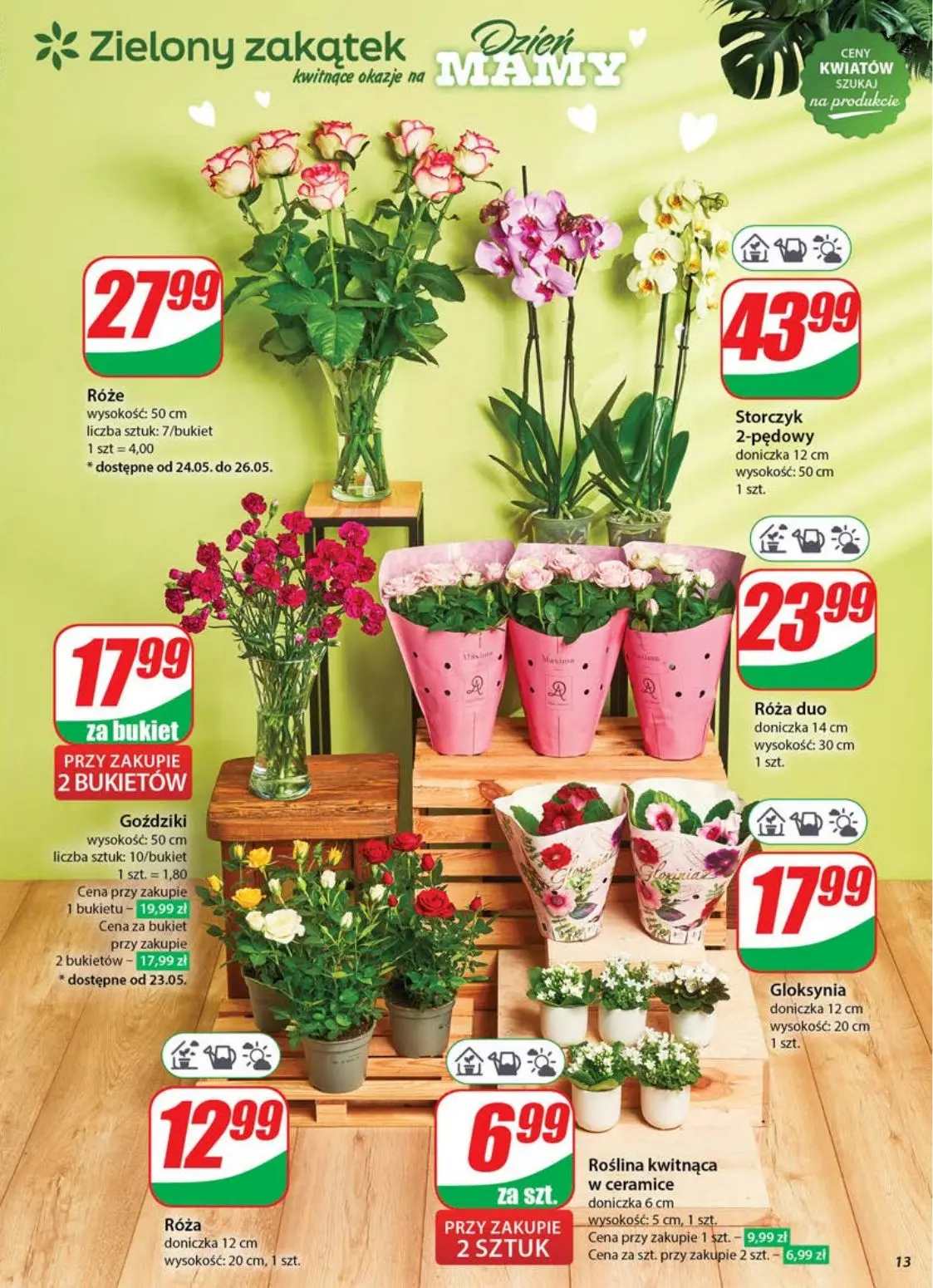 gazetka promocyjna dino Gazetka tygodnia - Strona 13