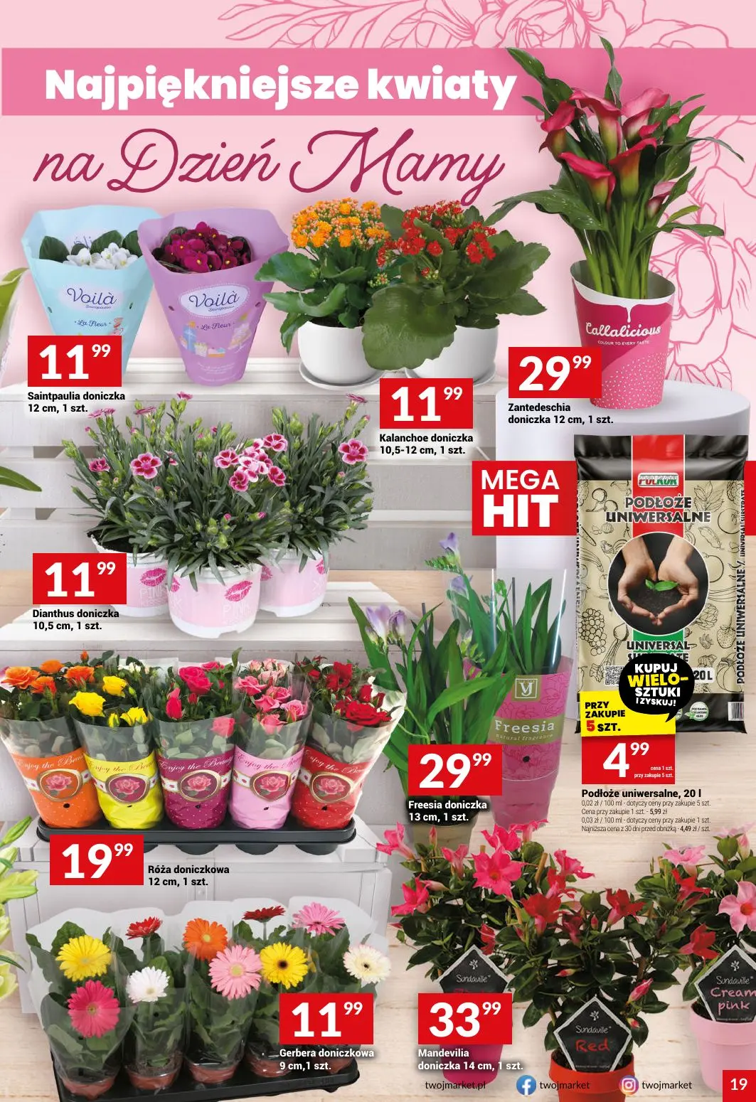 gazetka promocyjna Twój Market Cenowe hity - Strona 19