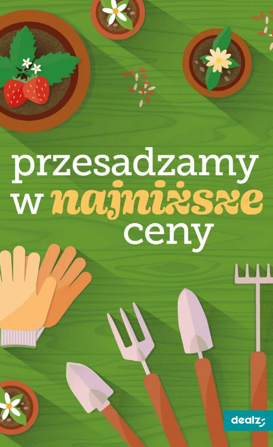 gazetka promocyjna Dealz MAKE A DEALZ - Strona 45