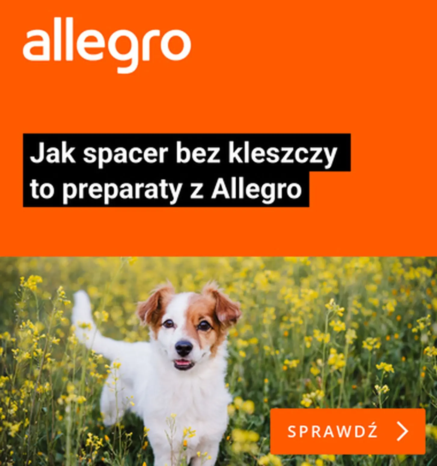 gazetka promocyjna Allegro Środki na kleszcze - Strona 1