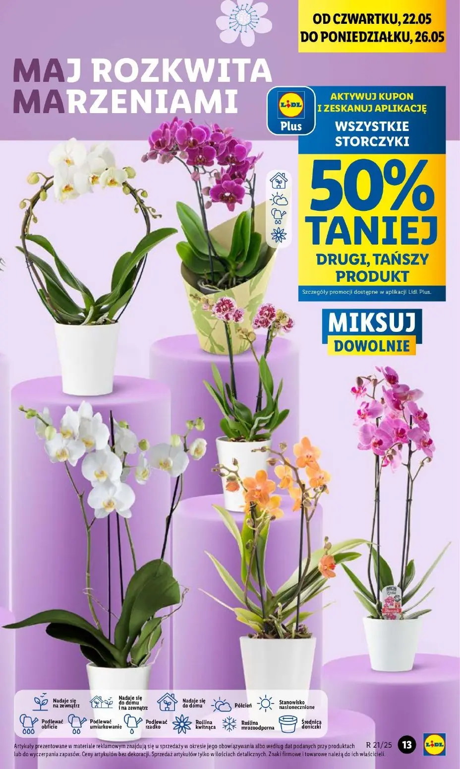 gazetka promocyjna LIDL Od czwartku - Strona 15