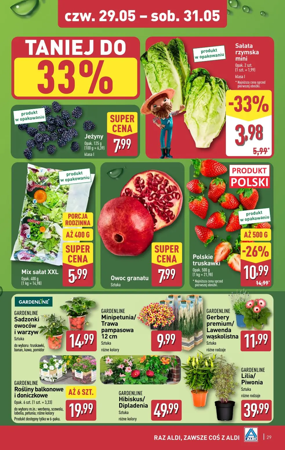 gazetka promocyjna ALDI Raz ALDI, zawsze coś z ALDI - Strona 29