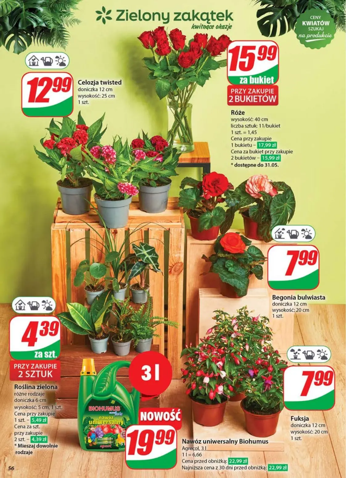 gazetka promocyjna dino Gazetka tygodnia - Strona 56
