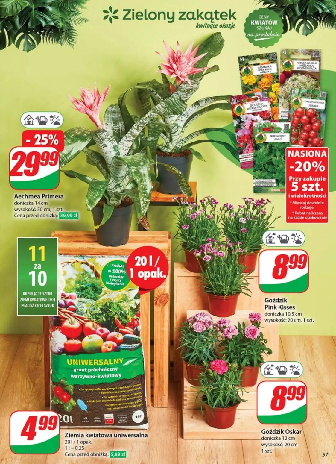 gazetka promocyjna dino Gazetka tygodnia - Strona 57