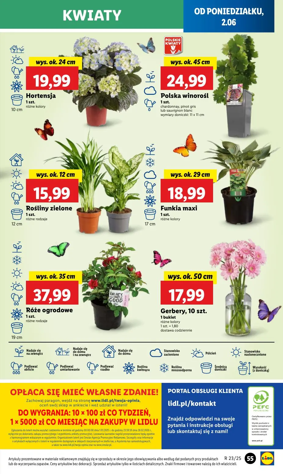 gazetka promocyjna LIDL Od poniedziałku - Strona 61
