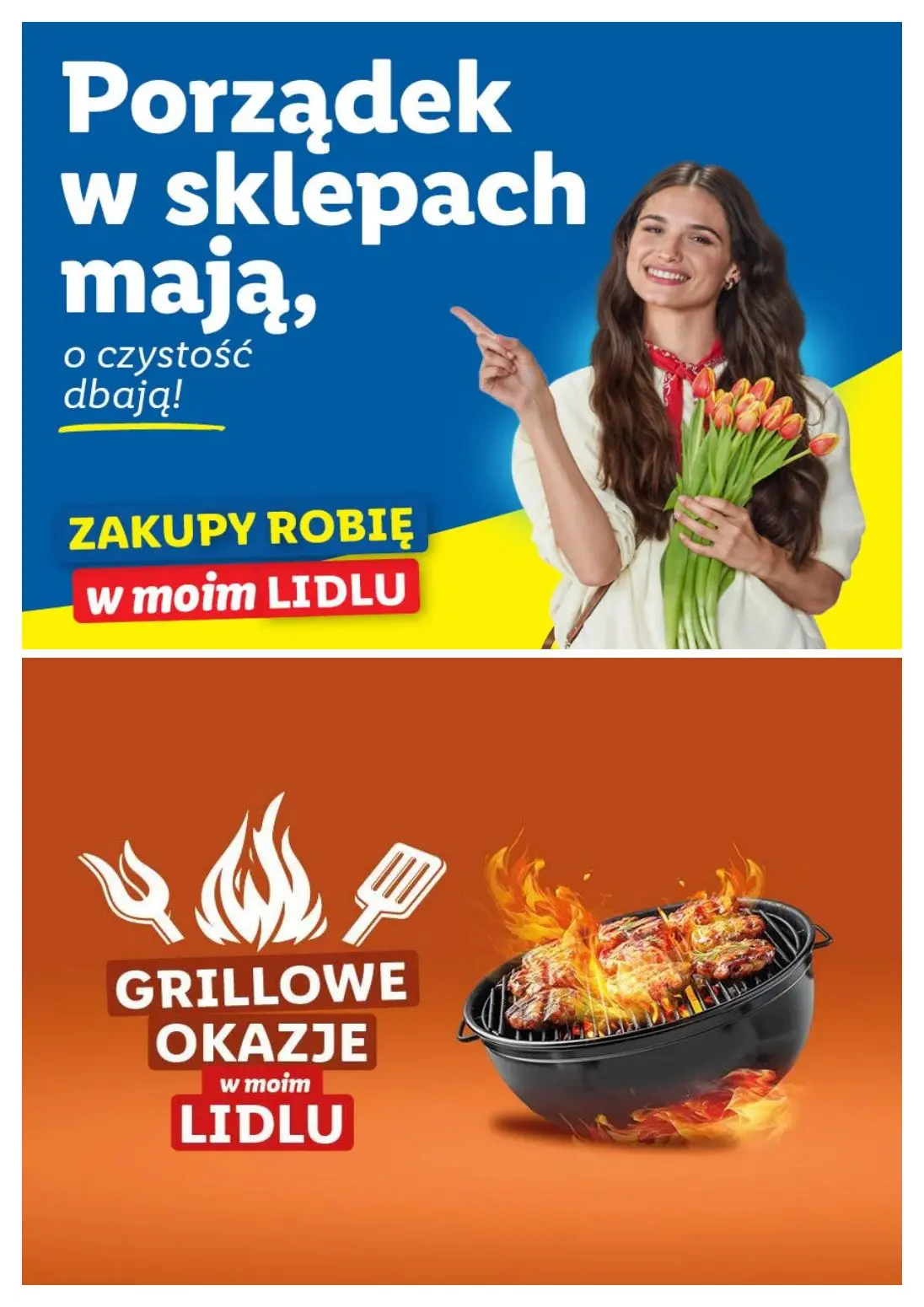 gazetka promocyjna LIDL Zakupy robię w moim Lidlu od poniedziałku - Strona 11