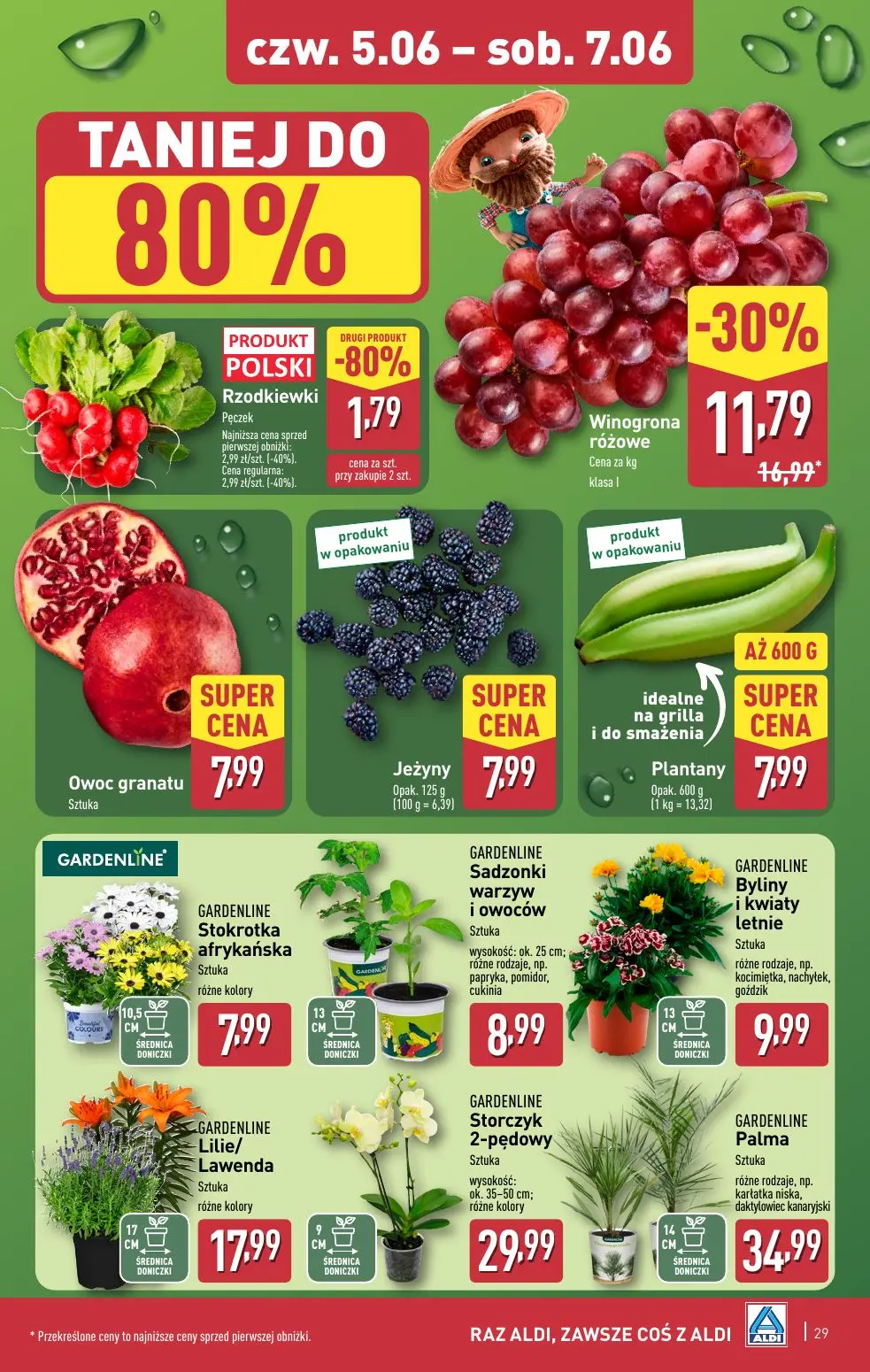 gazetka promocyjna ALDI Raz ALDI, zawsze coś z ALDI - Strona 29