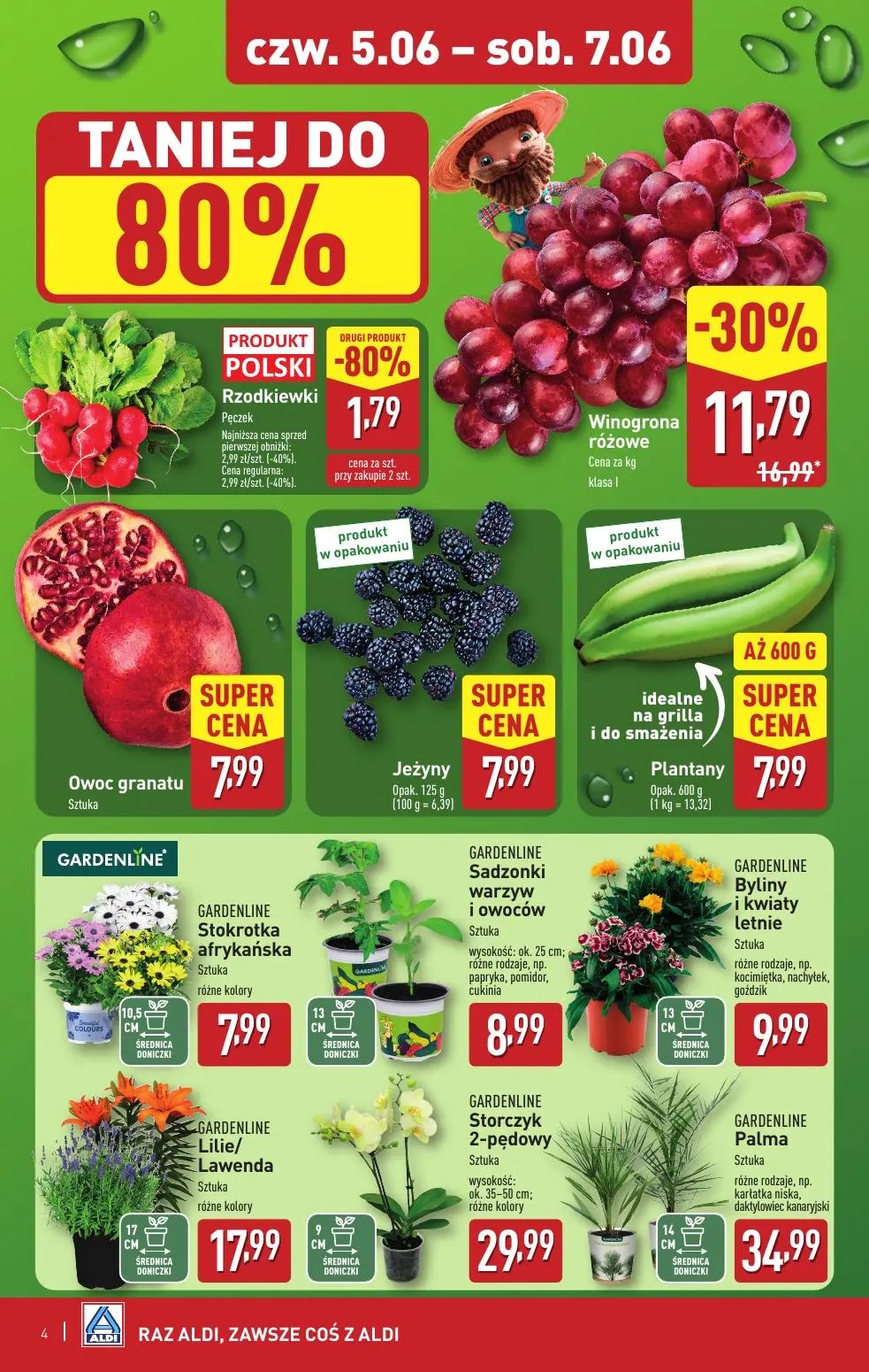 gazetka promocyjna ALDI Weekend super cen! - Strona 4