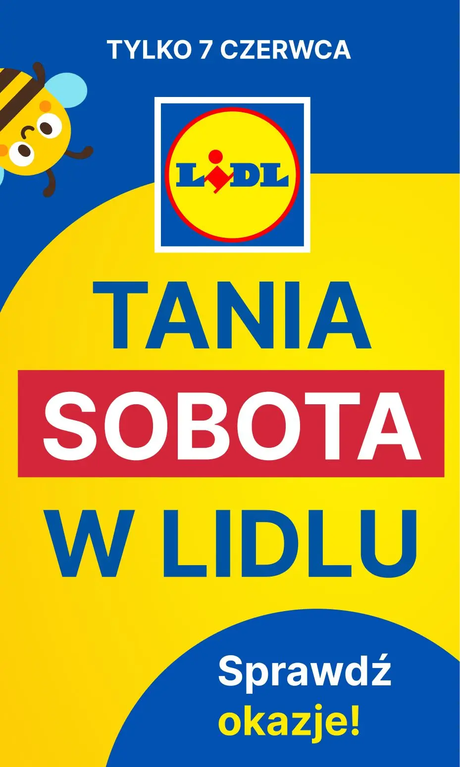 gazetka promocyjna LIDL Tania sobota w Lidlu - Strona 1