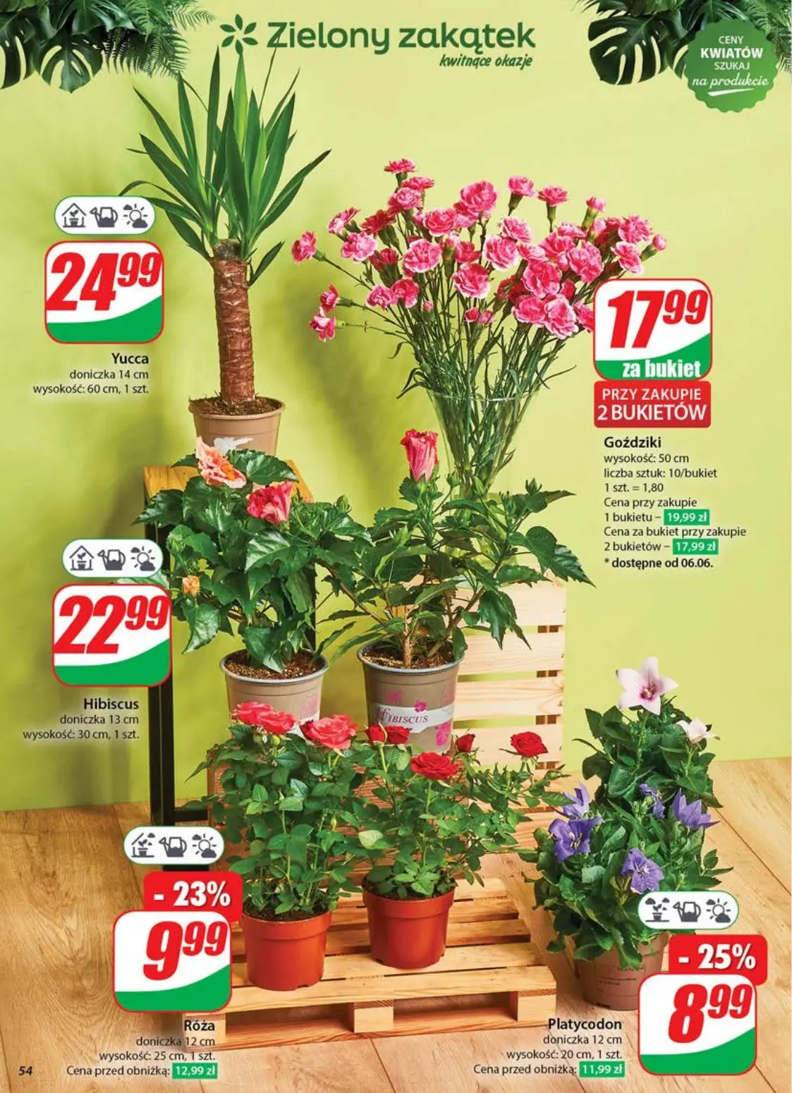 gazetka promocyjna dino Gazetka tygodnia - Strona 54