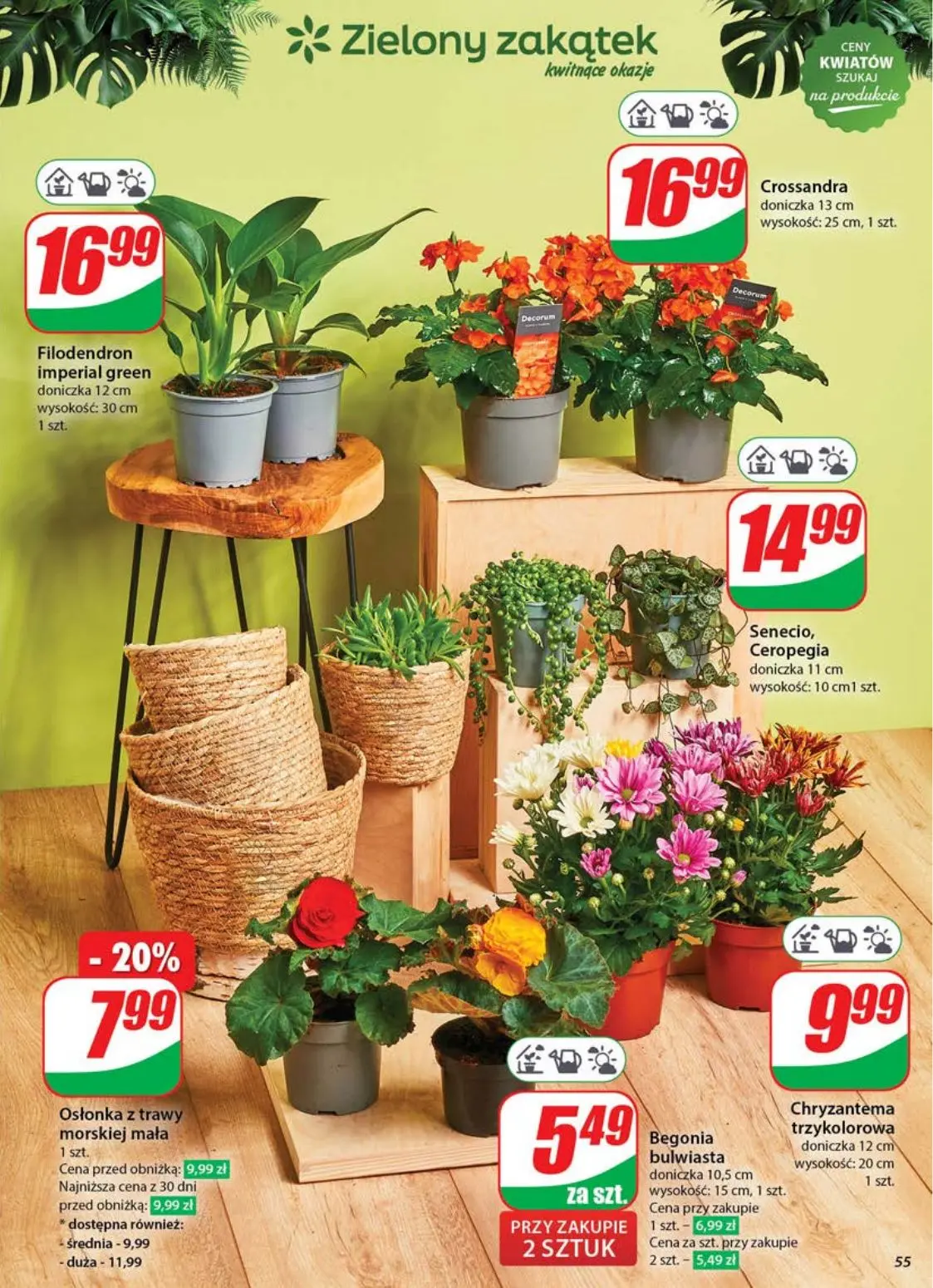 gazetka promocyjna dino Gazetka tygodnia - Strona 55