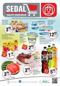 Gazetka promocyjna Sedal, ważna od 2025-06-04 do 2025-06-10.