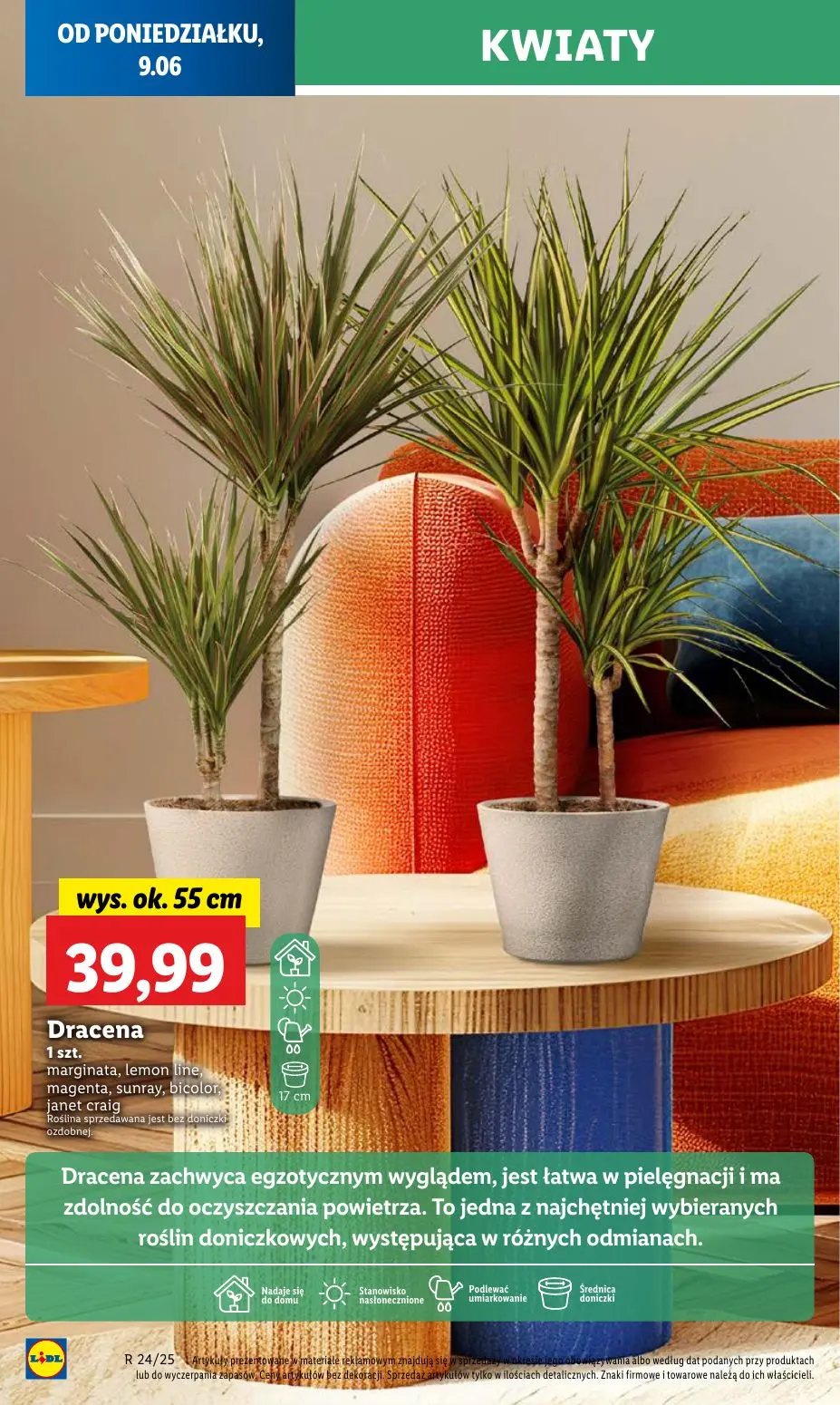 gazetka promocyjna LIDL Od poniedziałku - Strona 64