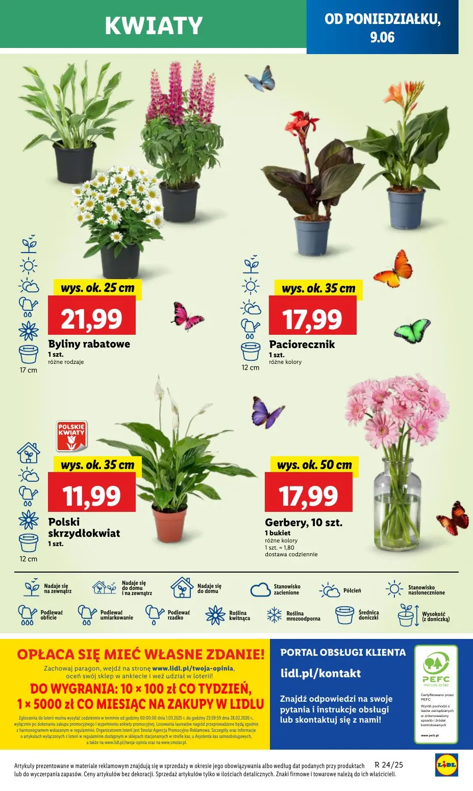gazetka promocyjna LIDL Od poniedziałku - Strona 65