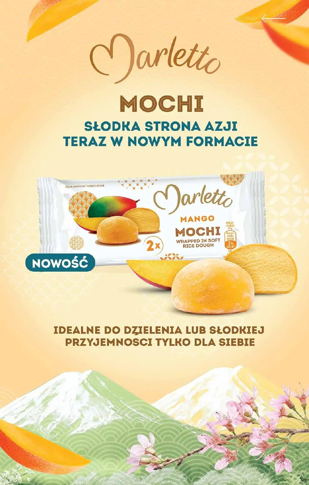gazetka promocyjna Biedronka Lodowa budka Biedronki - Strona 3