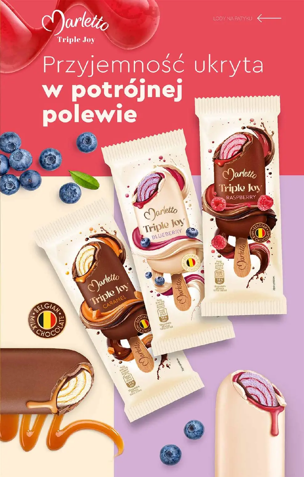 gazetka promocyjna Biedronka Lodowa budka Biedronki - Strona 13