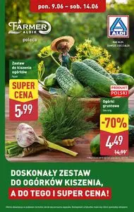 Gazetka promocyjna ALDI, ważna od 2025-06-09 do 2025-06-14.