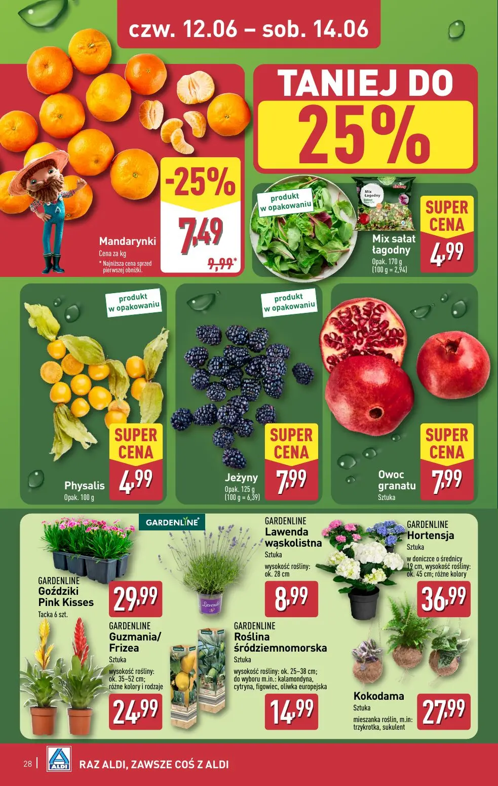 gazetka promocyjna ALDI Raz ALDI, zawsze coś z ALDI - Strona 28