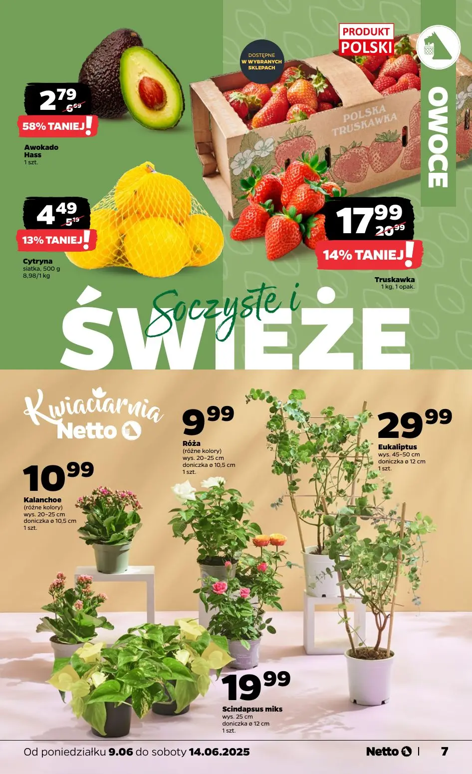 gazetka promocyjna NETTO Świeżo i tanio - Strona 7