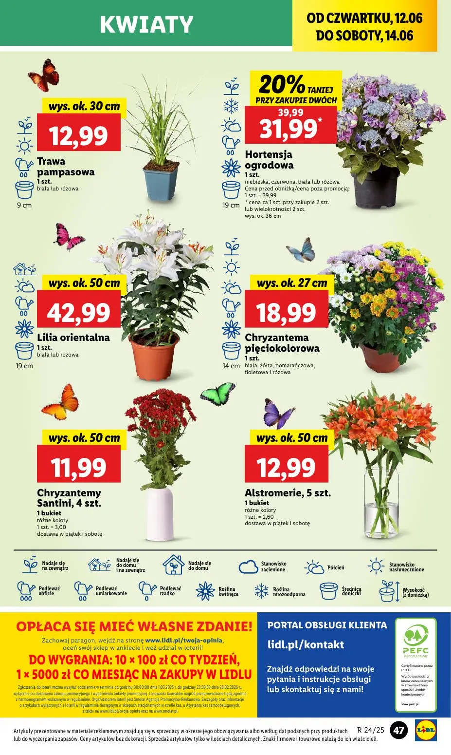 gazetka promocyjna LIDL Od czwartku - Strona 57